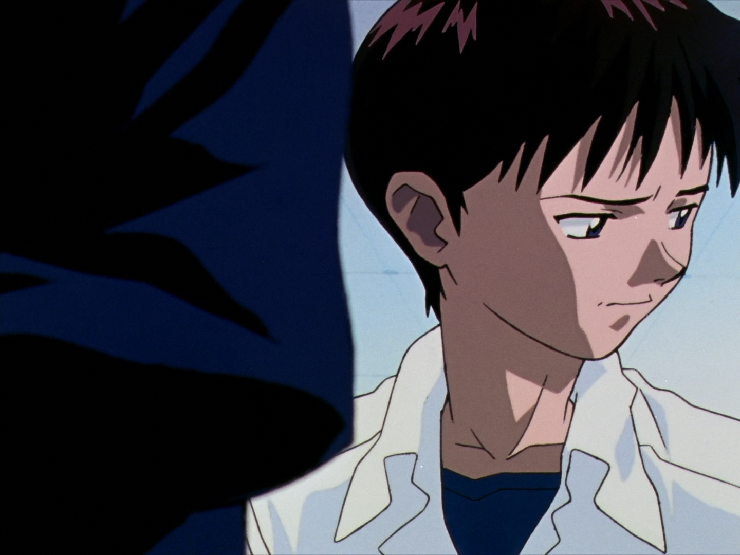 Neon Genesis Evangelion (Animelliure)